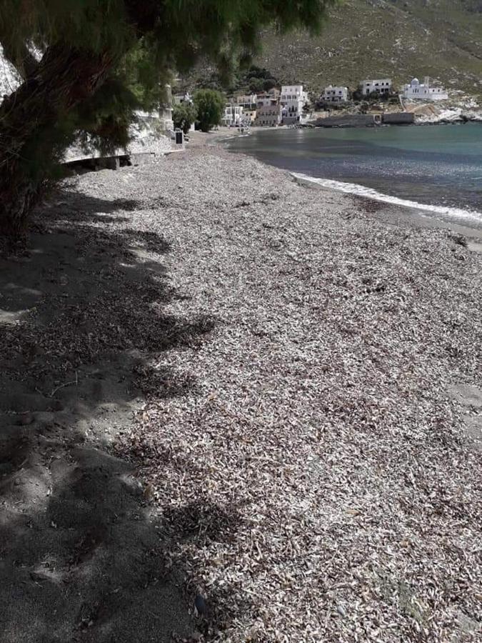 Kalymnos Beach House Panormos  외부 사진